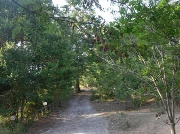 田舎風ホテル Le Dieci Querce