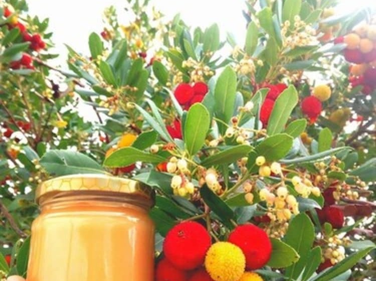 田舎風ホテル Le Dieci Querce