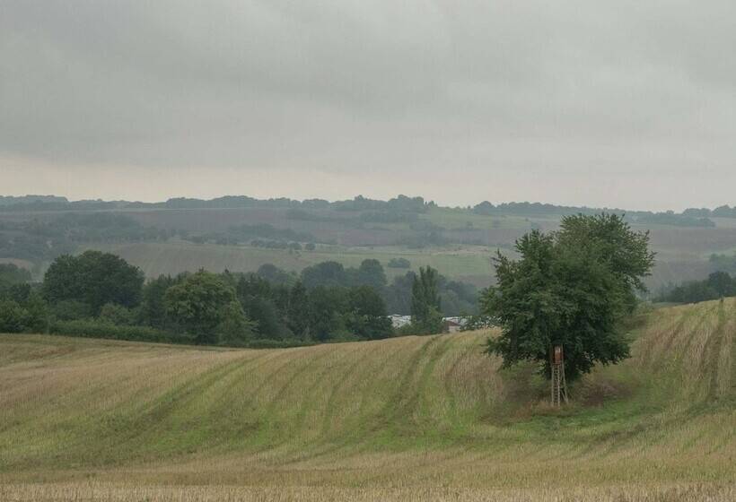 Luxurious Bungalow In Neustadt Harz With Private Terrace