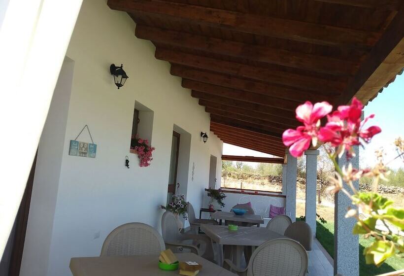 B&b Sardama