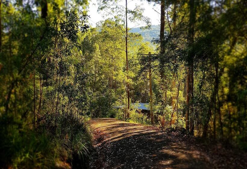 Carawirry Forest Escape