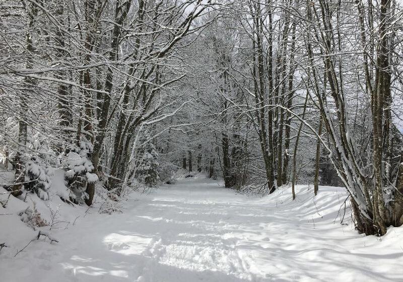 ホテル Auberge Du Chateau De Joux