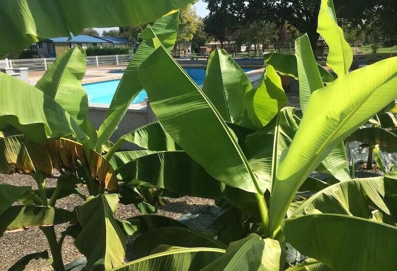 فندق Camping Les Naïades