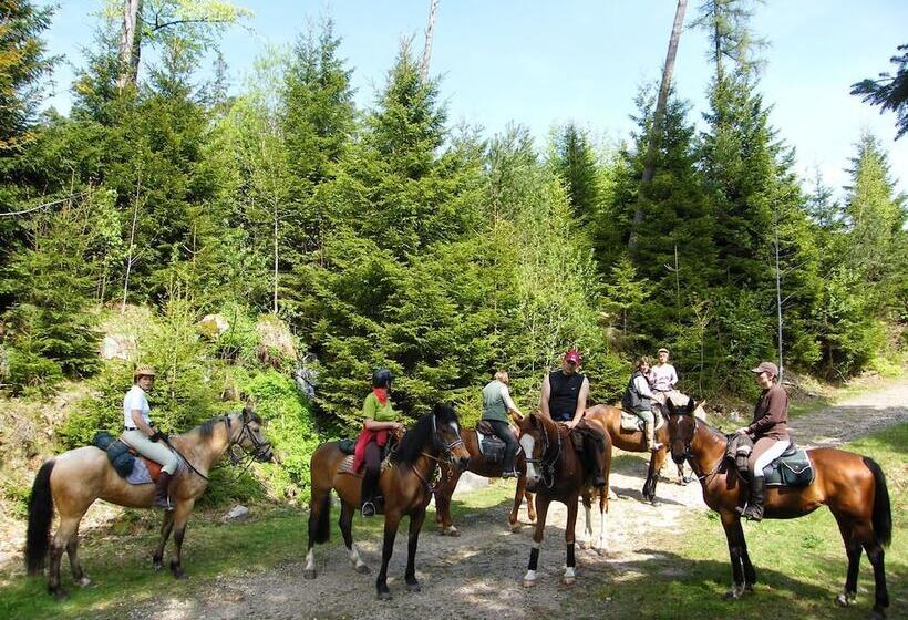 酒店 Camping Osenbach