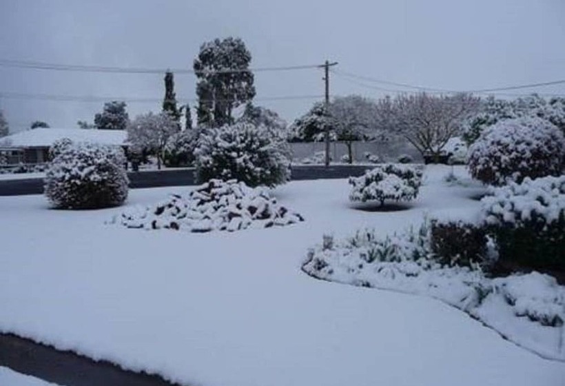 호텔 Guyra Summit Caravan Park