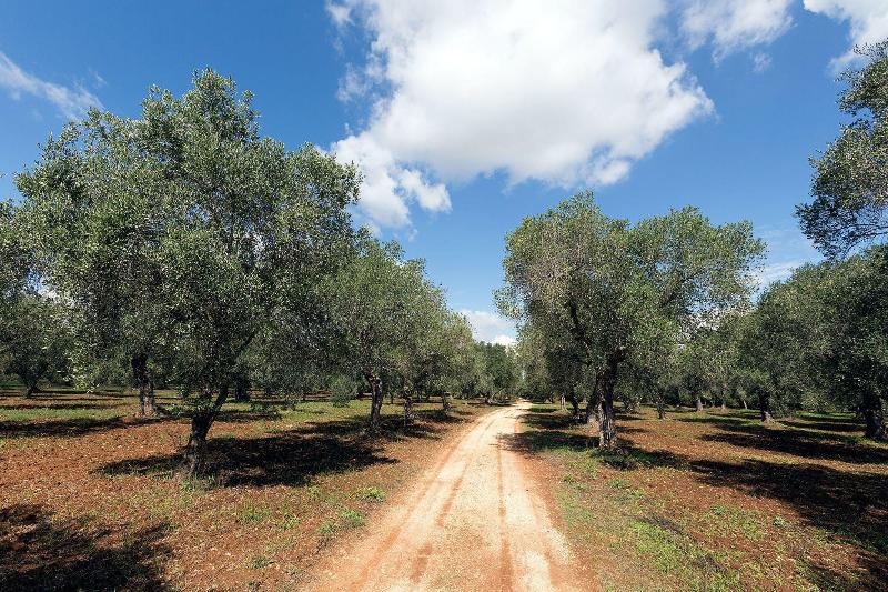 Masseria Piarmi