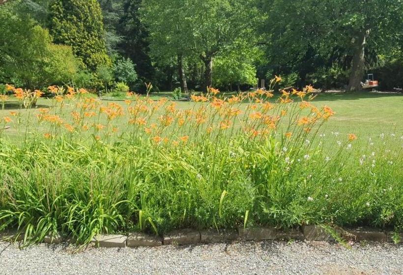 膳宿费 Chateau De Viviez