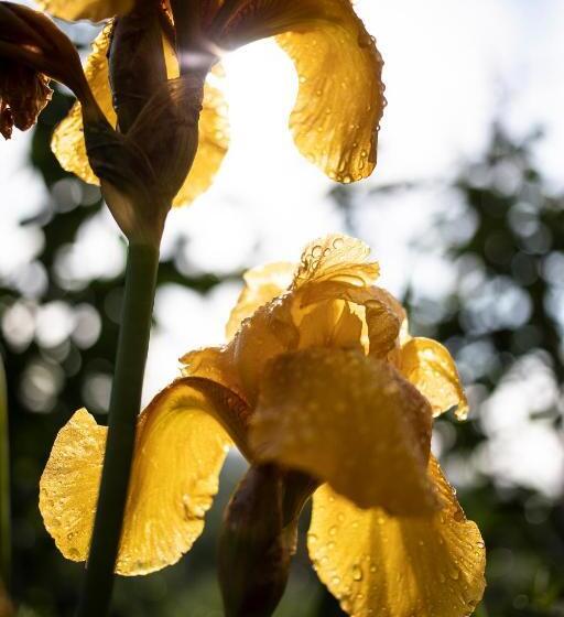 膳宿费 Le Chat Blanc