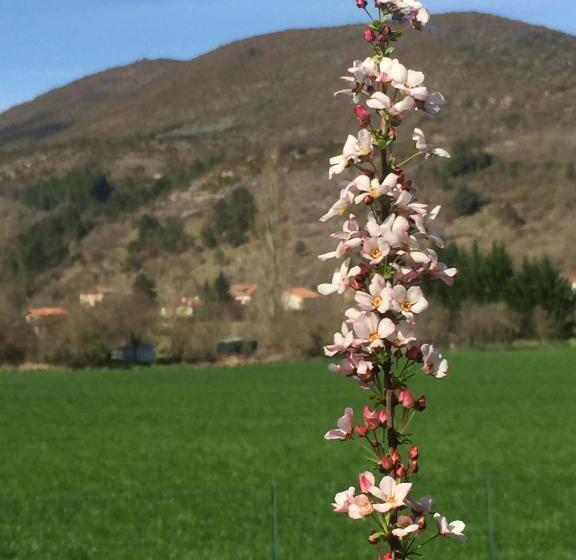 膳宿费 Le Chat Blanc