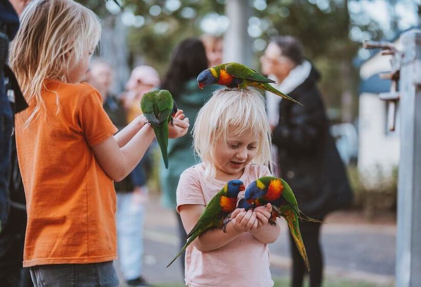 Курорт Big4 Breeze Holiday Parks  Cania Gorge