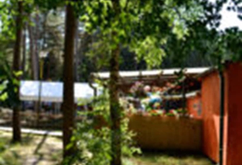 Курорт Feriensiedlung Schwalbennest