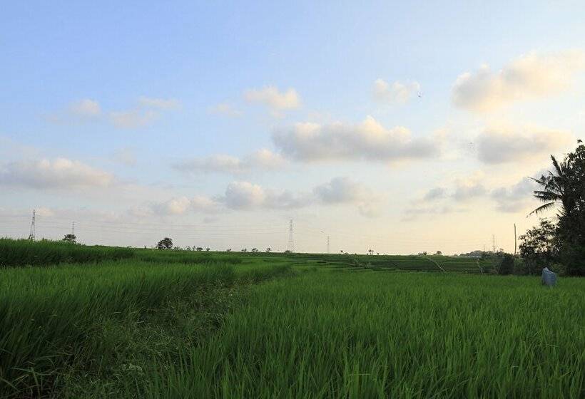 Bed and Breakfast Desa Cepaka Homestay