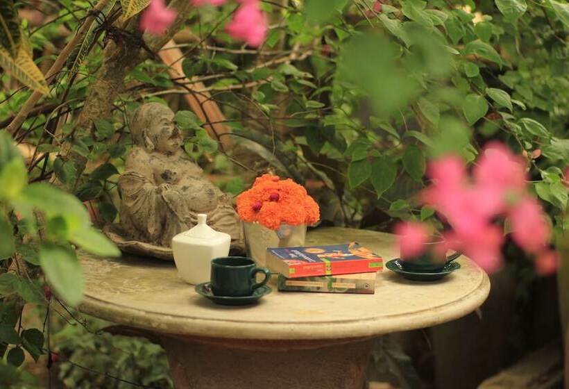 Bed and Breakfast Desa Cepaka Homestay