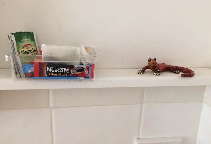 بنسيون Howie S Place Noosa