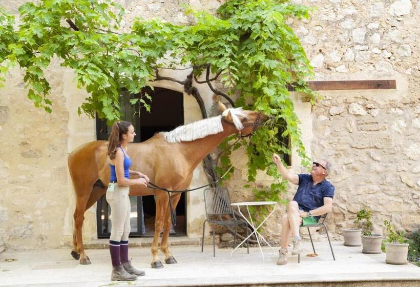Bed and Breakfast Domaine Cap Rubis