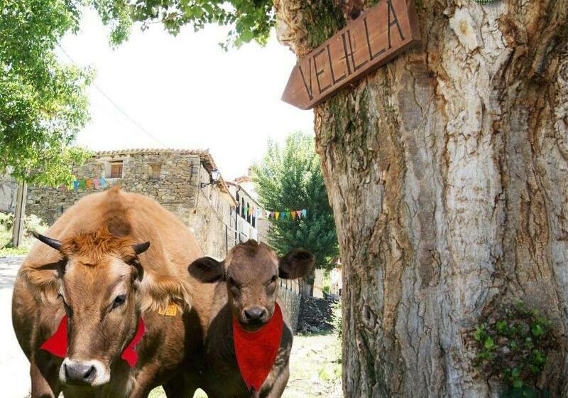 Casa Tia Upe