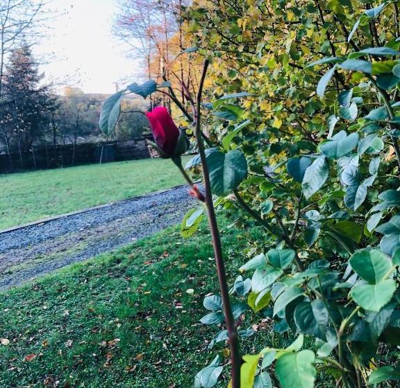 بنسيون Ecolodge Le Grand Nichet