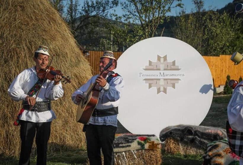 Pensiunea Maramures Guesthouse