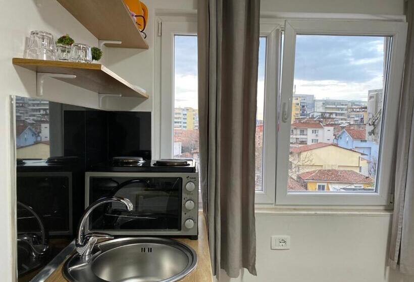 Central Studio Apartments