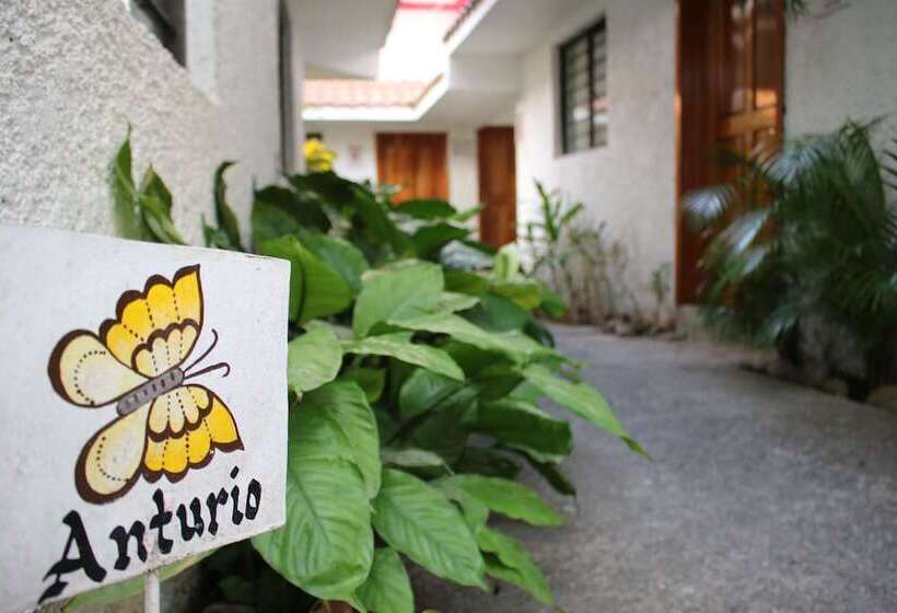 호텔 Suites Ejecutivas Los Arcos