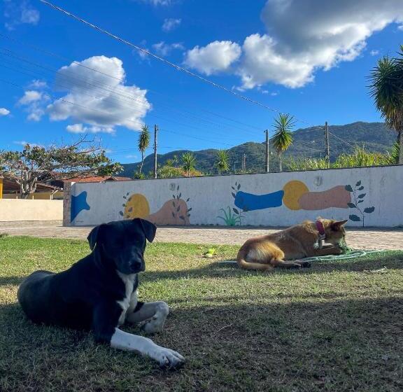 Ipê Palmas Hostel