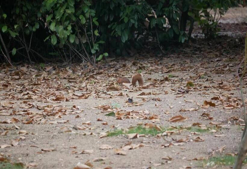 تختخواب و صبحانه Kastellren Rennes Grand Parking Privé