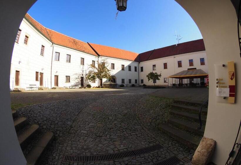 בית מלון כפרי Chateau Zamek Cejkovice