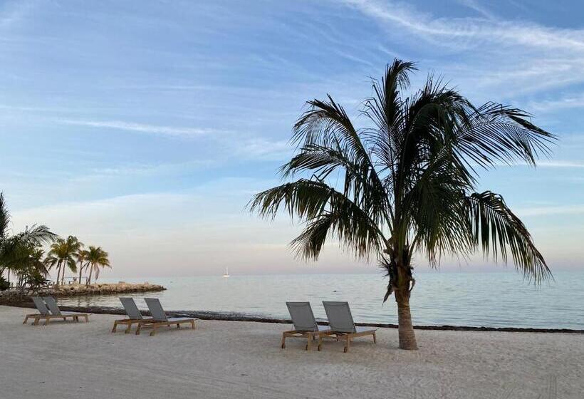 فندق The Islands Of Islamorada