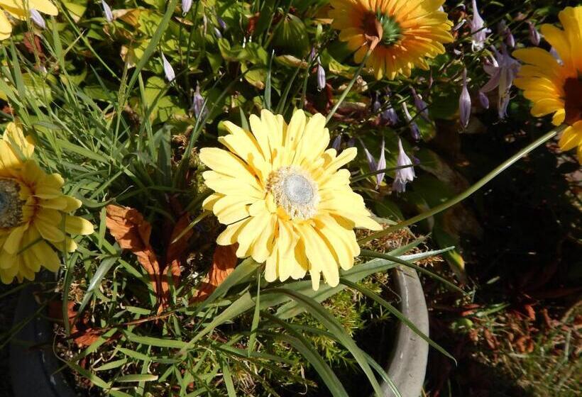 هتل A Friendly Inn At Harvard