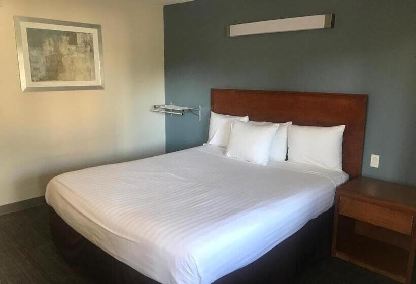 호텔 Inn At Rohnert Park