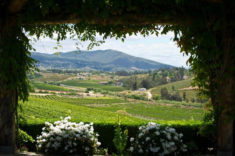 בית מלון כפרי South Coast Winery Resort & Spa