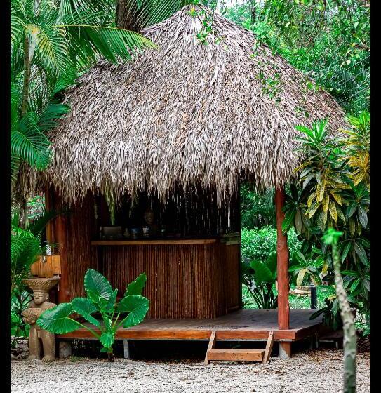 Villas Pura Vibra