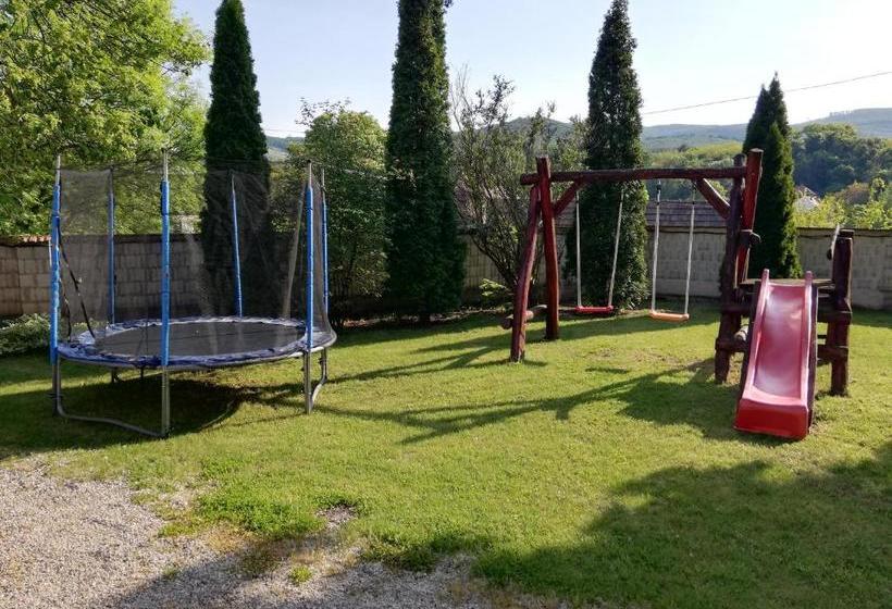 צימר Olze Panzió