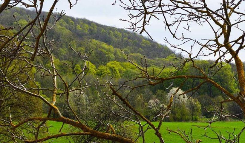 مبيت وإفطار Somhegyi öreg Hársfák Major Vendégház