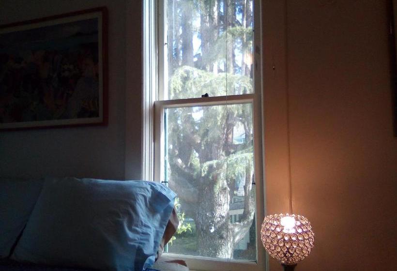 Santa Cruz Hostel