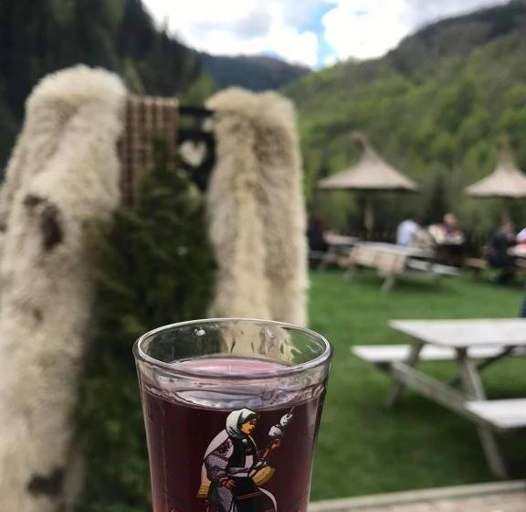酒店 Popasul Regelui Transalpina