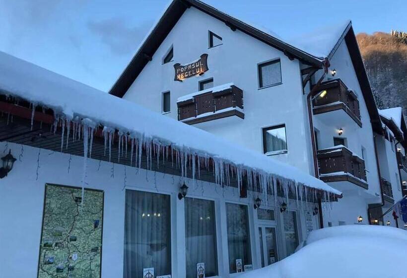 酒店 Popasul Regelui Transalpina