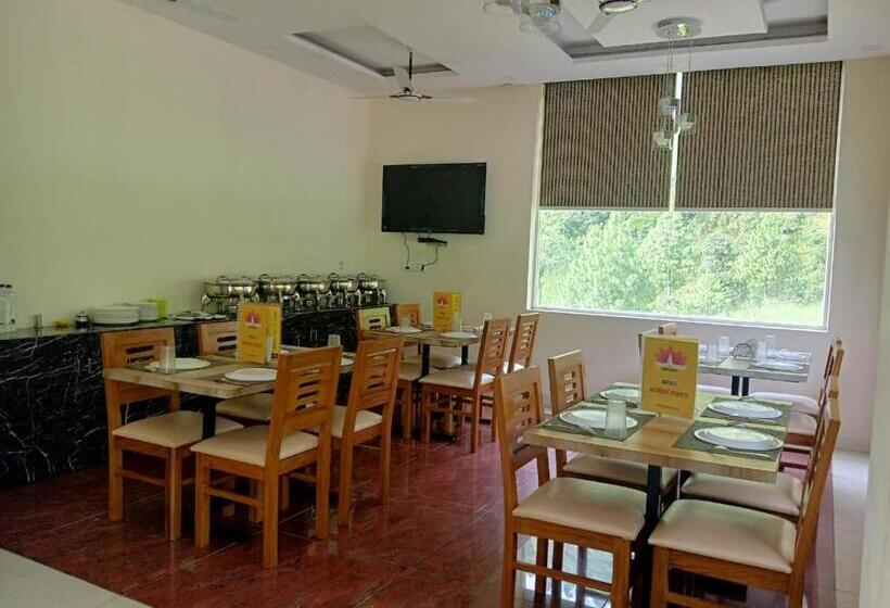 בית מלון כפרי Sunny Pines Resort