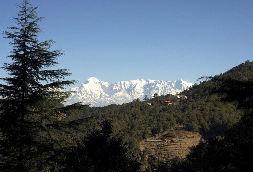 منتجع Tree Of Life Grand Oak Manor Binsar