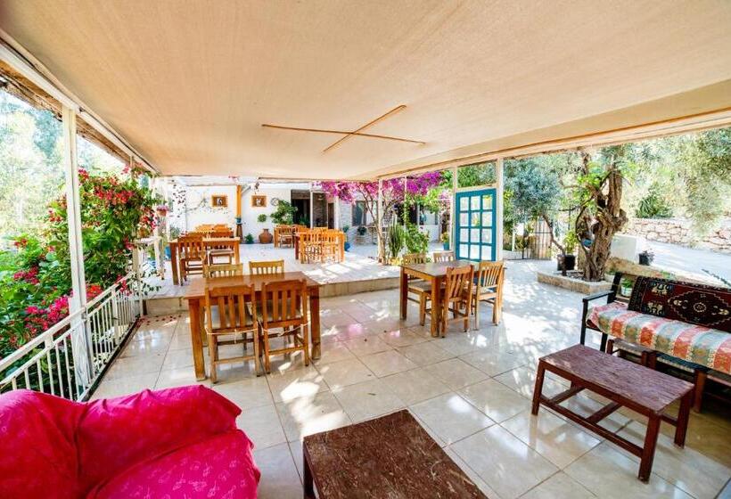 تختخواب و صبحانه Eucalyptus Pension