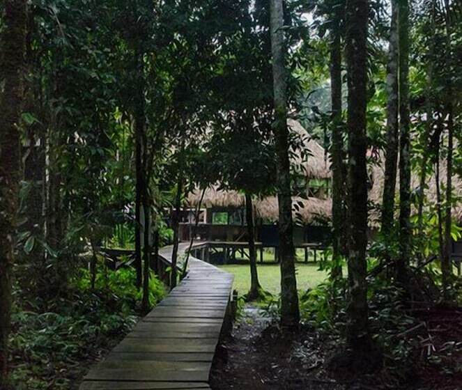فندق Jamu Lodge