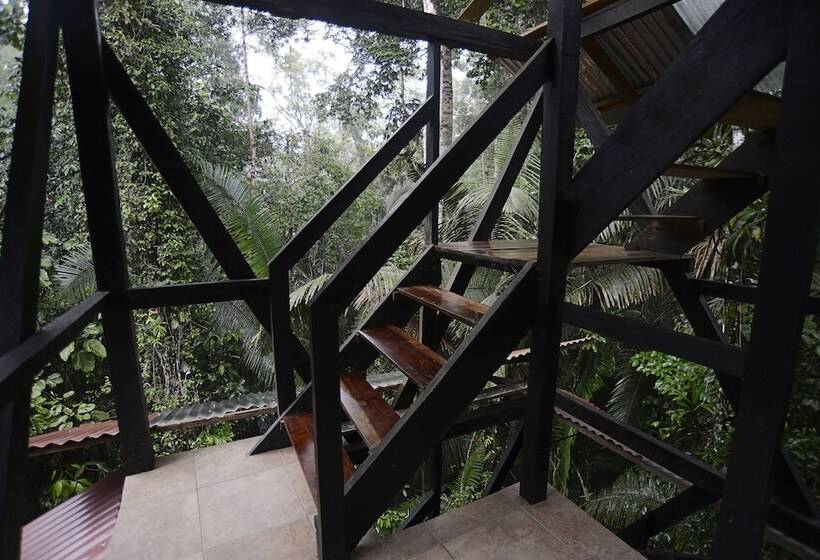 فندق Jamu Lodge