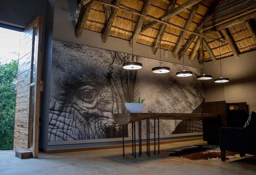 Отель Royal Thonga Safari Lodge