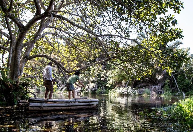 Отель Royal Thonga Safari Lodge