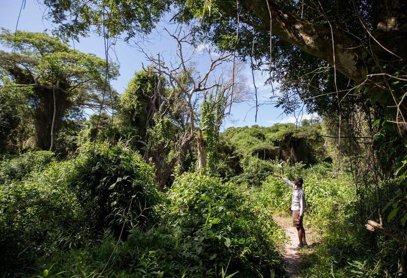 Отель Royal Thonga Safari Lodge