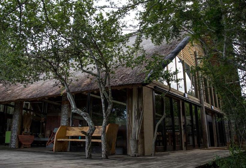 Отель Royal Thonga Safari Lodge