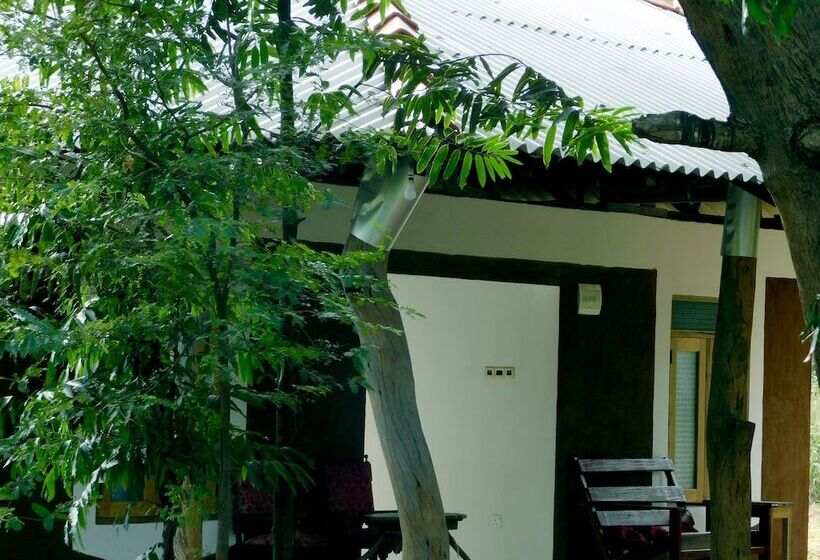 مبيت وإفطار Yala Avian Eye Safari