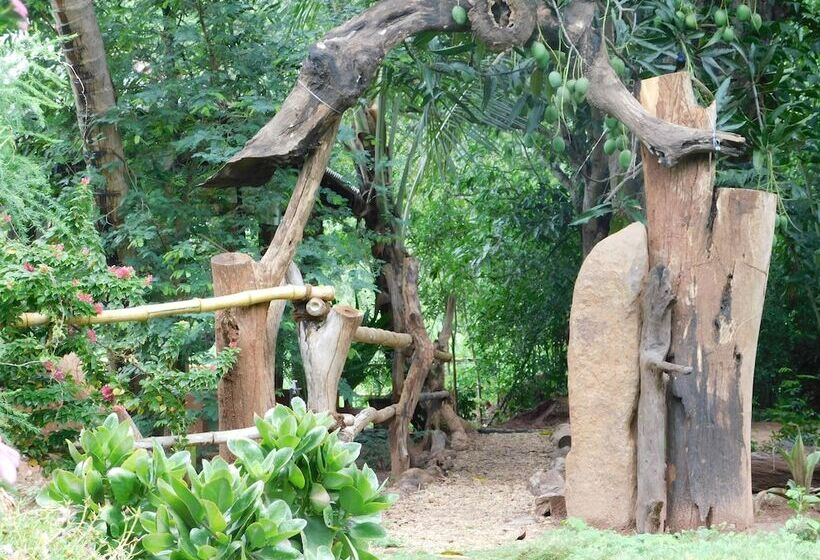 مبيت وإفطار Yala Avian Eye Safari