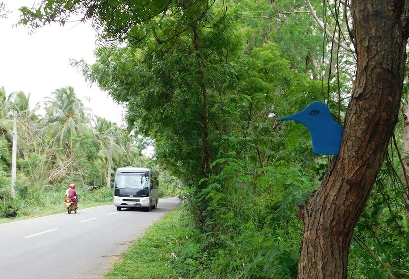 مبيت وإفطار Yala Avian Eye Safari