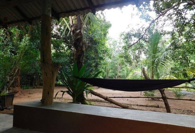 مبيت وإفطار Yala Avian Eye Safari